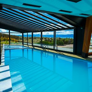 Design Suites Calafate